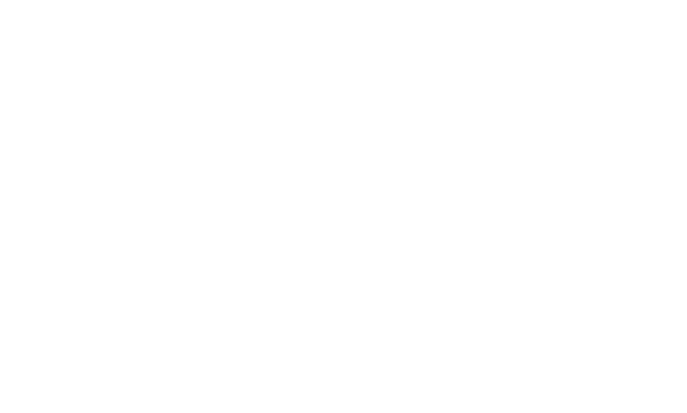 Alianza Insurtech Panamericana